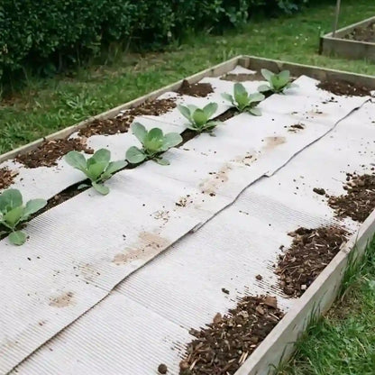 Premium Gartenpappe