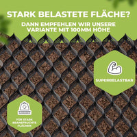 Geogitter Bodenstabilisierung