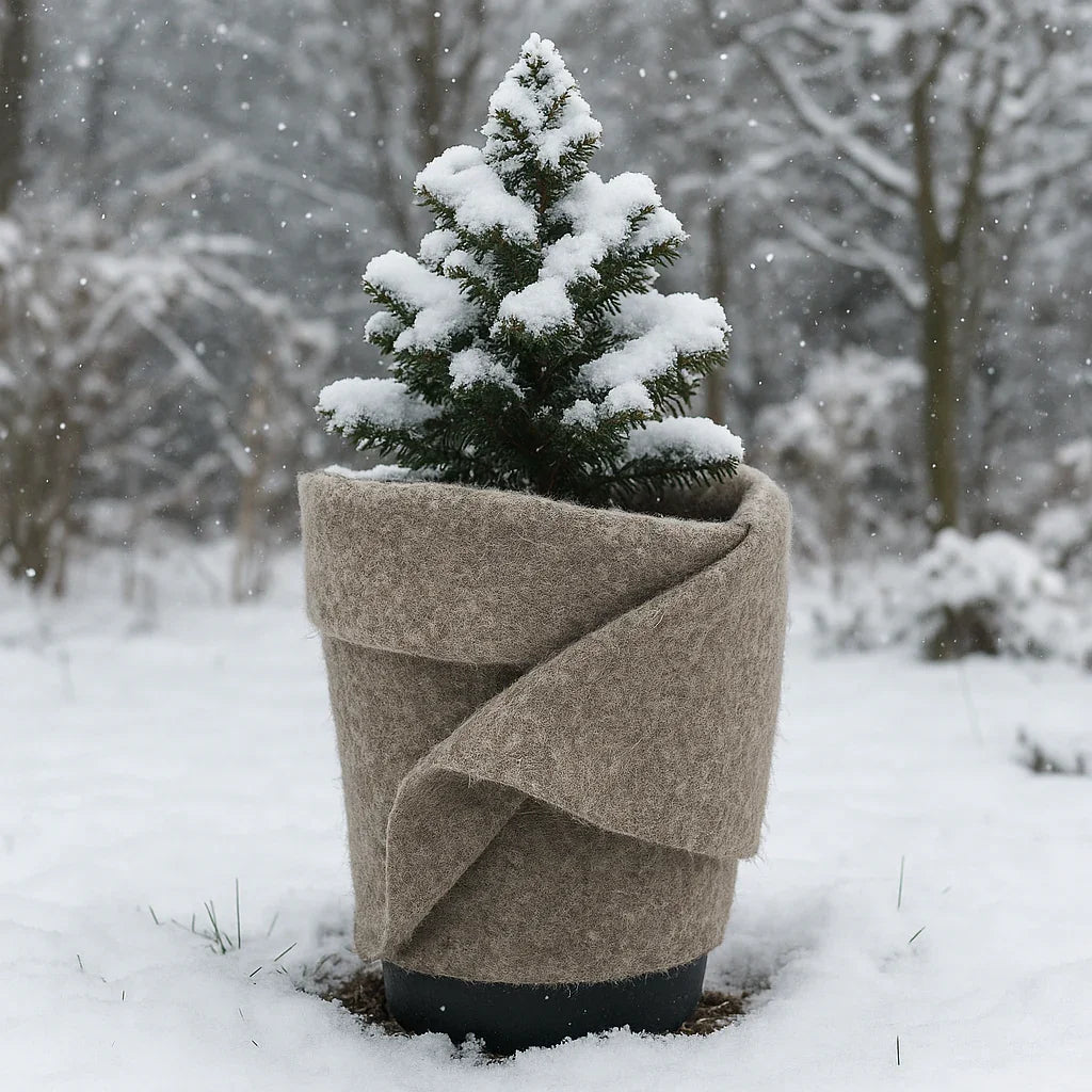 Hanfmatte & Nagerteppich