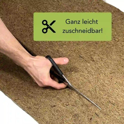 Kokosscheibe