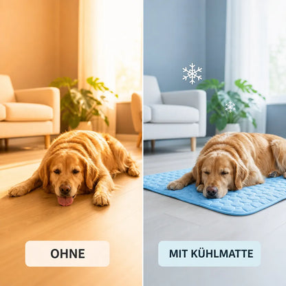 Kühlmatte Hund & Katze