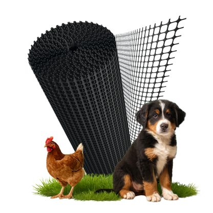 Florade Kunststoffzaun schwarz - Rolle mit Huhn und Hund