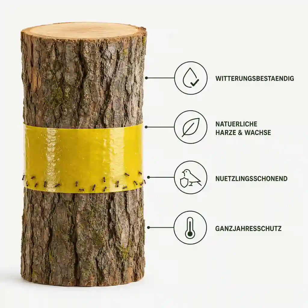 Baumleimring