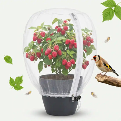 Pflanzenschutzhaube – Vogelschutz