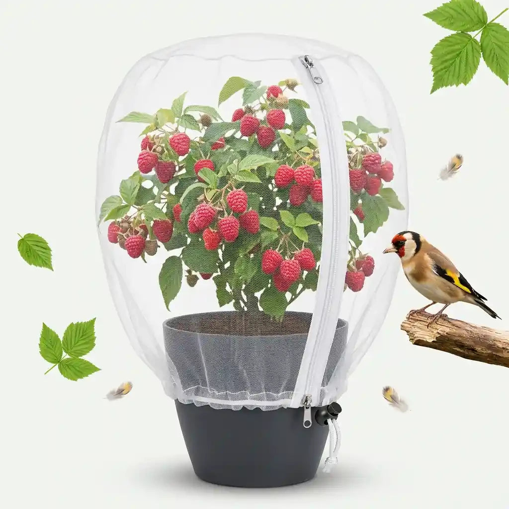 Pflanzenschutzhaube – Vogelschutz