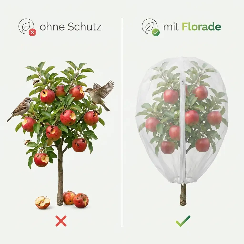 Pflanzenschutzhaube – Vogelschutz