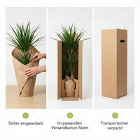 Tierfreundliches Pflanzenset