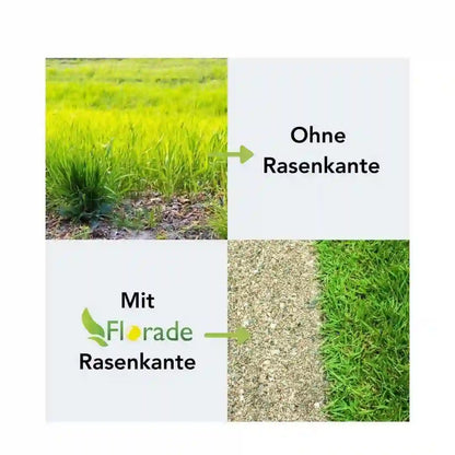 Rasenkante