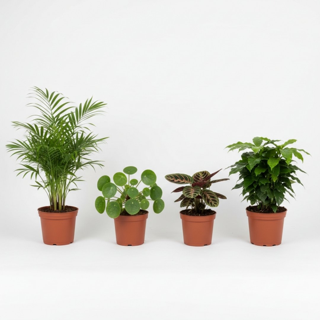 Tierfreundliches Pflanzenset