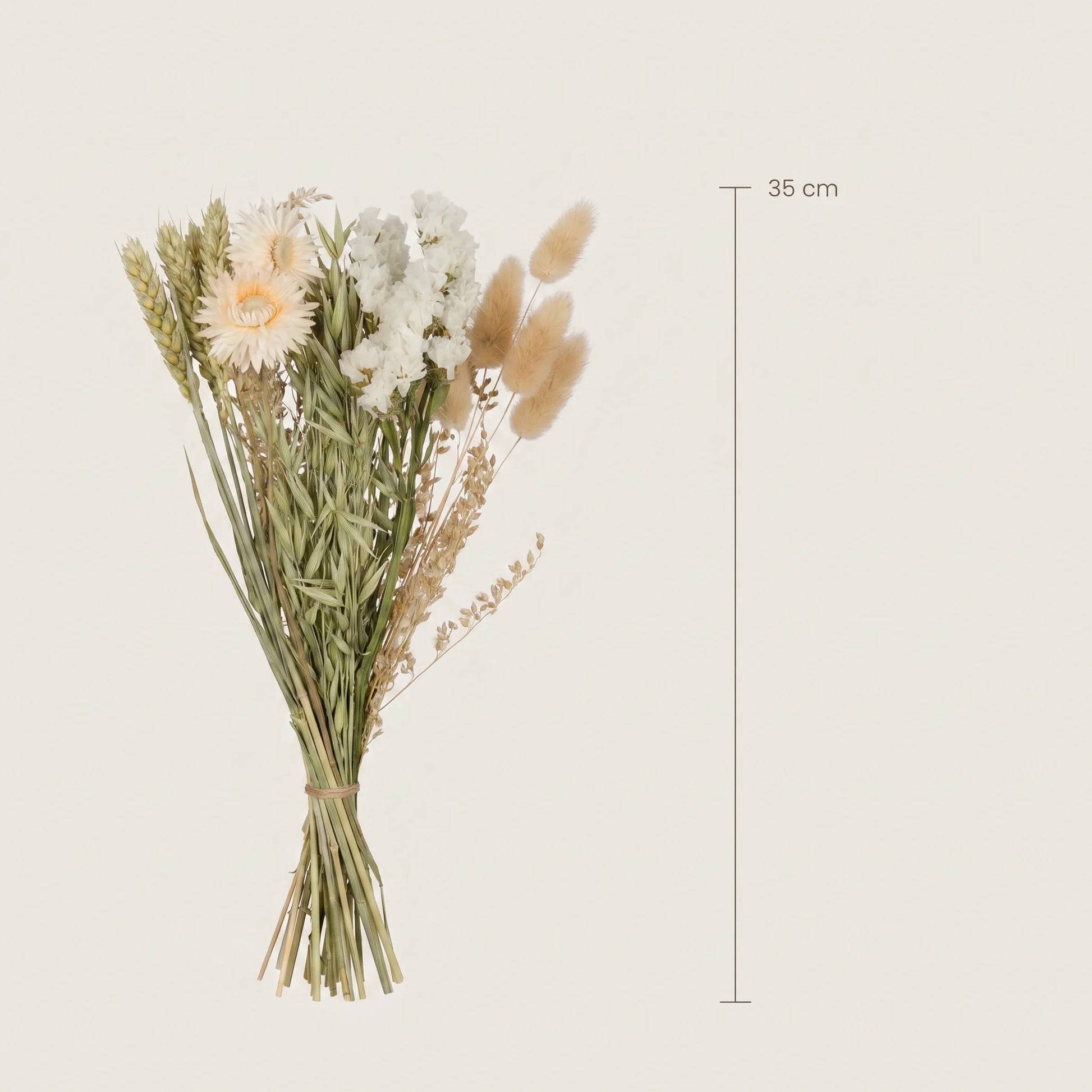 Trockenblumenstrauß Größe – 35 cm Höhe