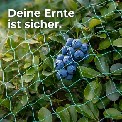 Vogelschutznetz