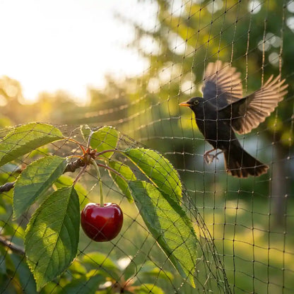 Vogelschutznetz