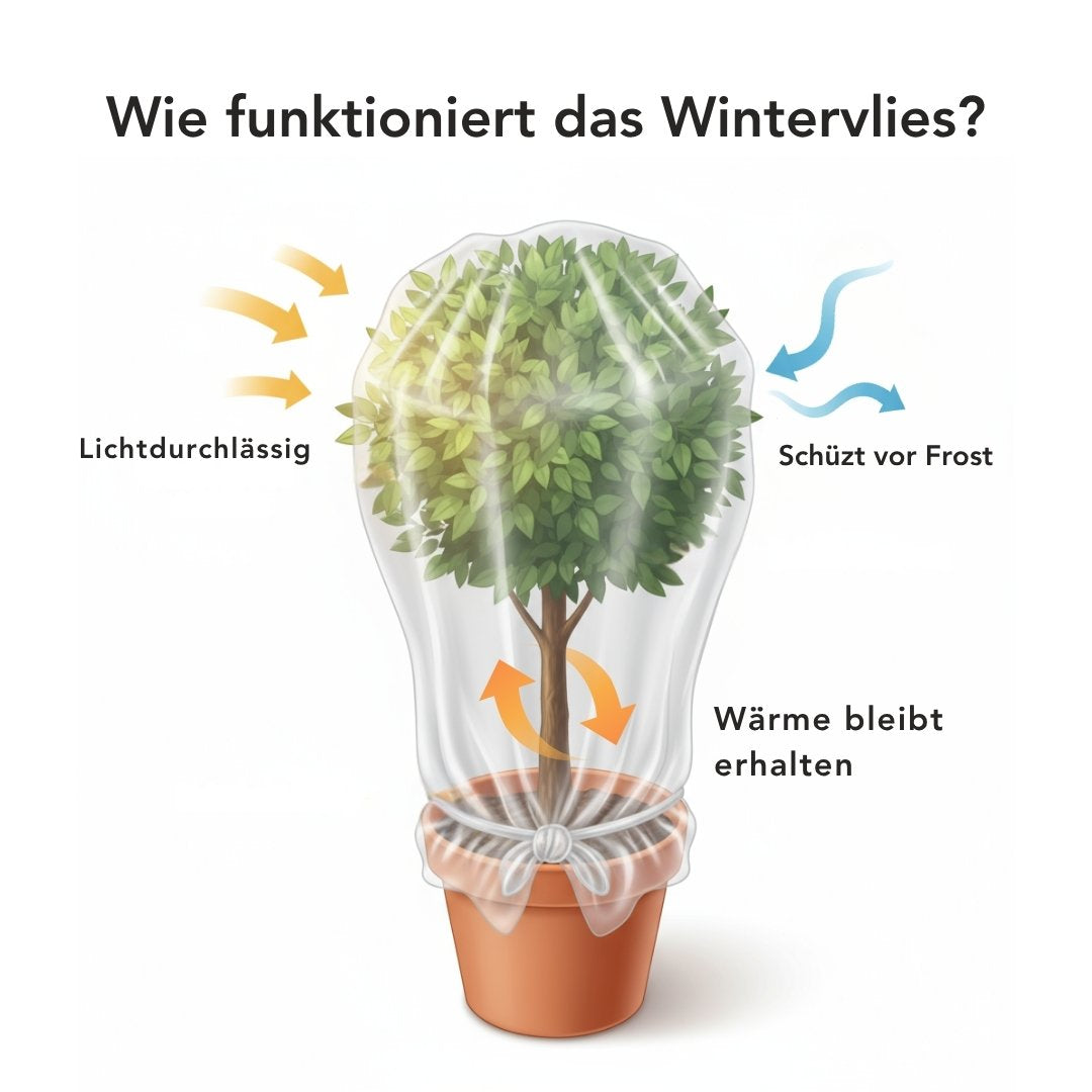 Winterschutz-Set für 1 Pflanze