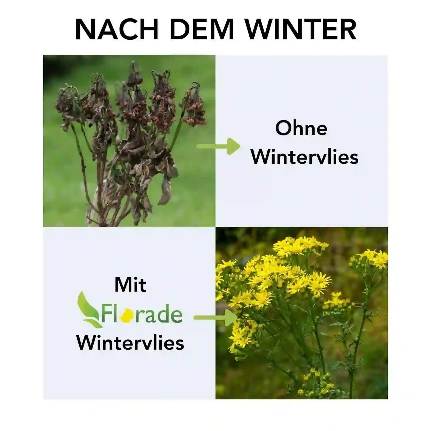 Wintervlies