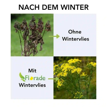 Wintervlies