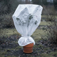 Topfpflanze im braunen Tontopf, mit weißem Pflanzenschutz-Vlies umhüllt und unten zusammengebunden, im Garten stehend.