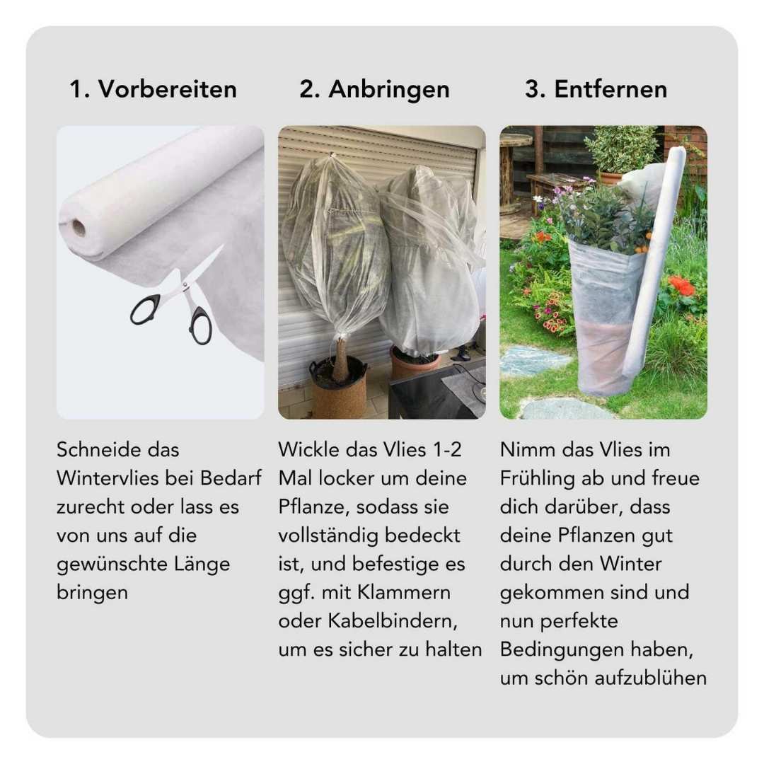 Drei Bilder zeigen Schritte zur Nutzung von Wintervlies: Zuschneiden mit Schere, Pflanzen locker einwickeln, Vlies im Frühling entfernen.