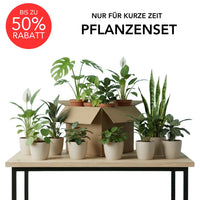 Rette mich: Zimmerpflanzen Set
