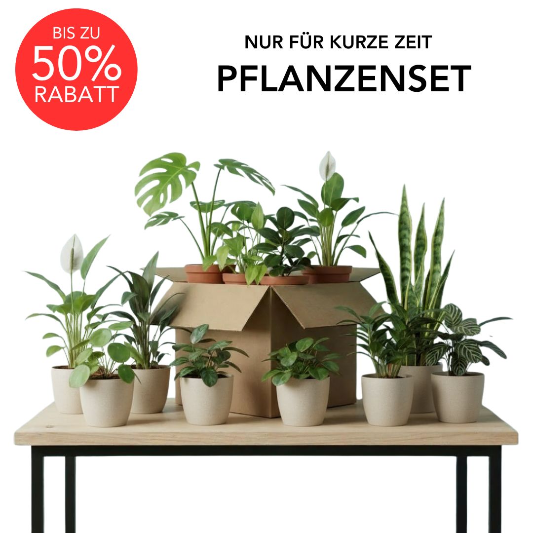 Rette mich: Zimmerpflanzen Set