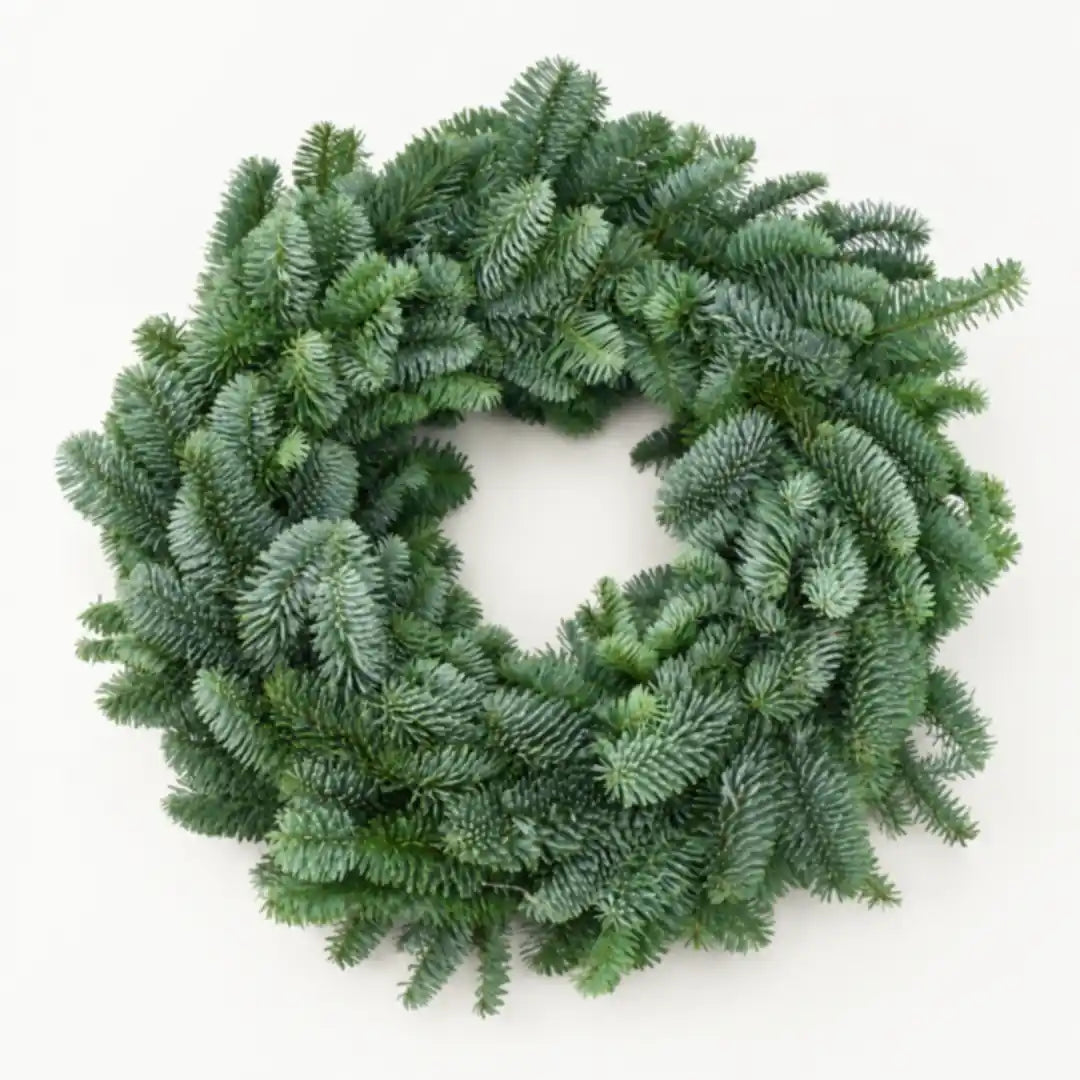 Adventskranz natur: frischer Nobilis-Kranz ohne Deko auf hellem Hintergrund
