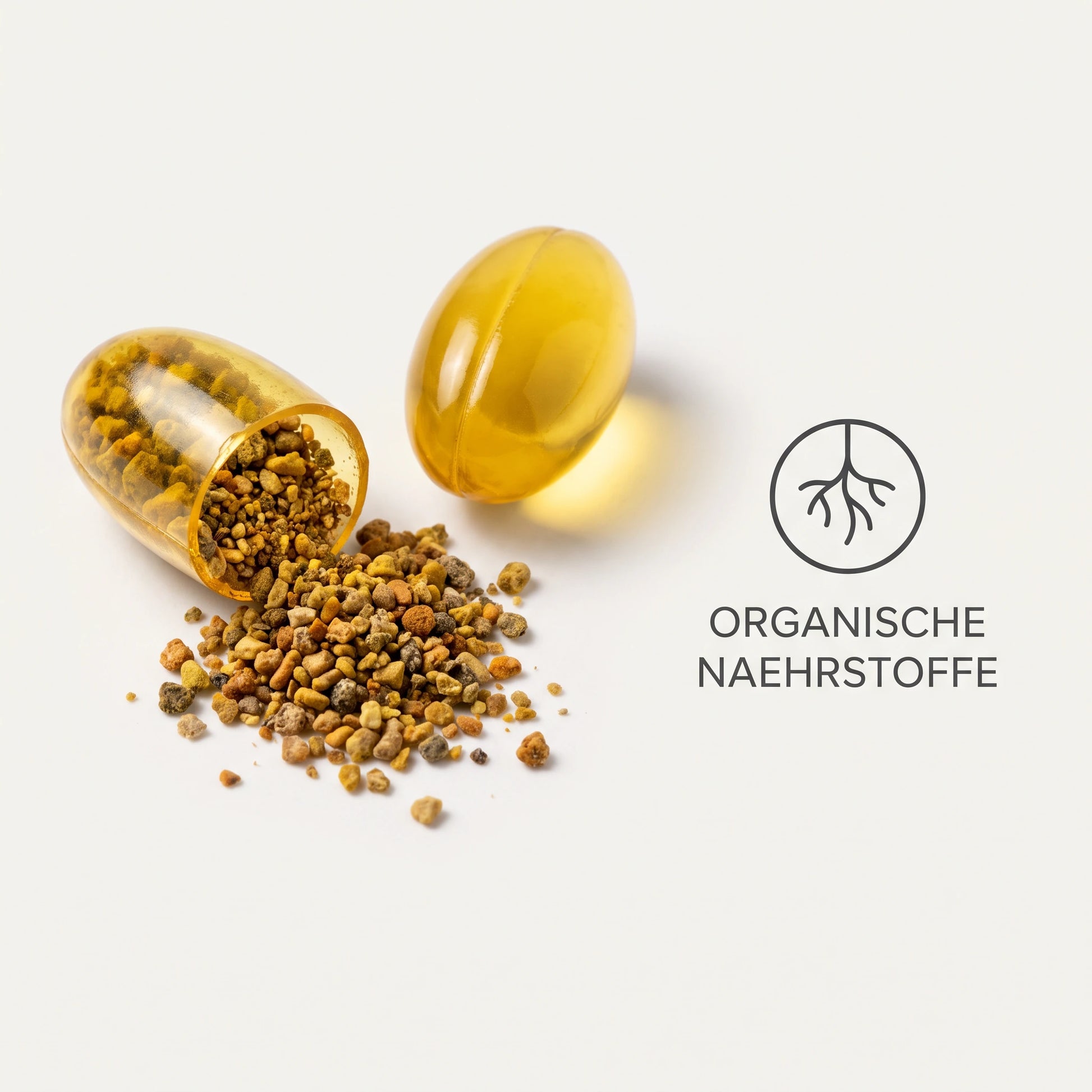 Bio Cure Kapsel aufgeschnitten mit organischen Naehrstoffen