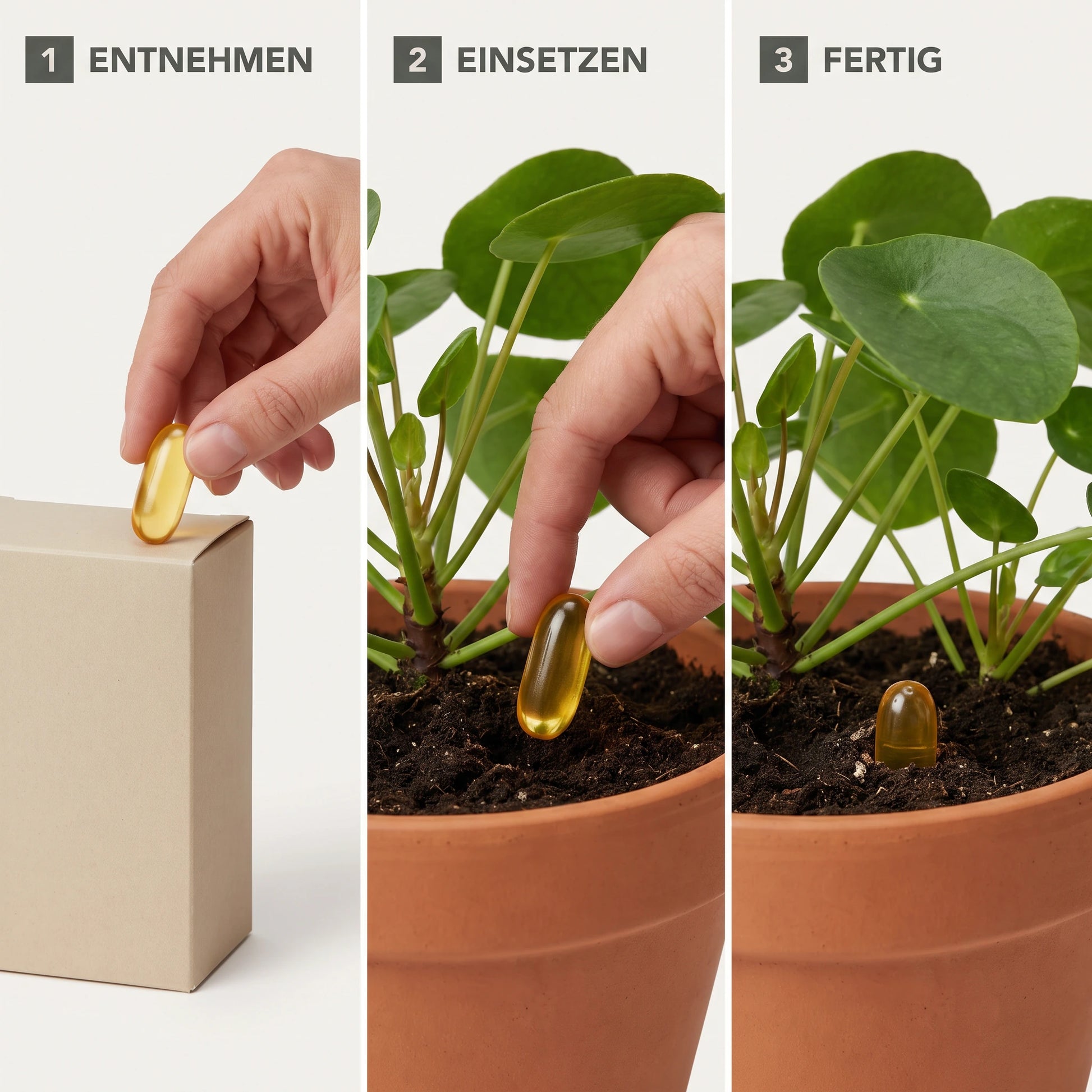 Bio Cure Kapseln Anwendung in 3 Schritten