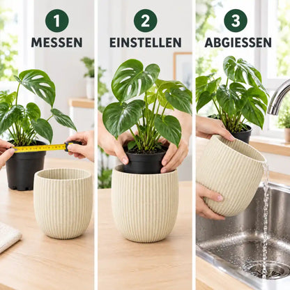 Anwendung in drei Schritten: Anzuchttopf messen, einstellen, Restwasser abgießen