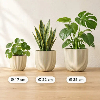 Beige Rillen-Übertöpfe in Ø 17, 22 und 25 cm mit Pilea, Sansevieria und Monstera