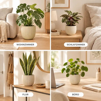 Beiger Rillen-Übertopf im Wohnzimmer, Schlafzimmer, Flur und Büro