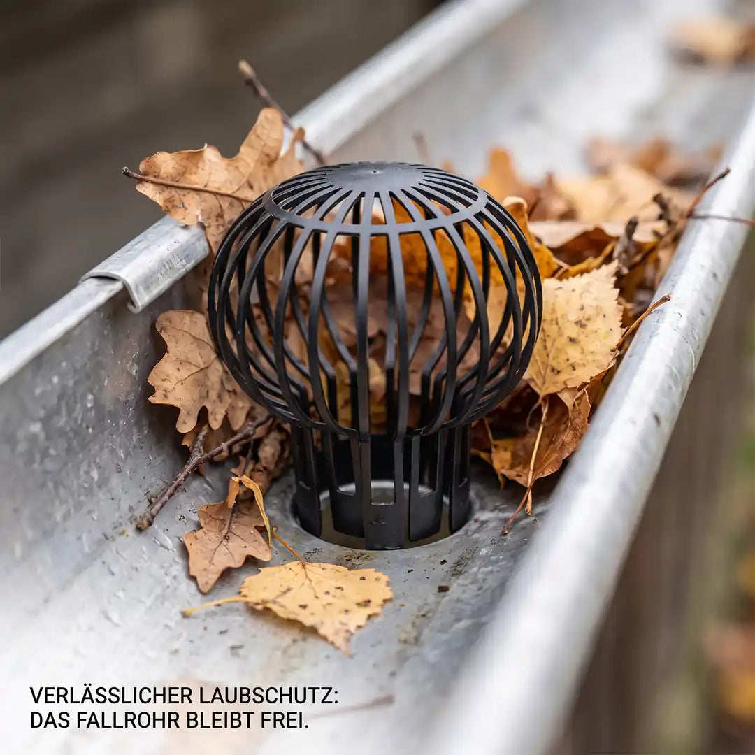 Laub bleibt draußen: Herbstlaub liegt außen am Laubfang, der Dachrinnen-Ablauf bleibt frei