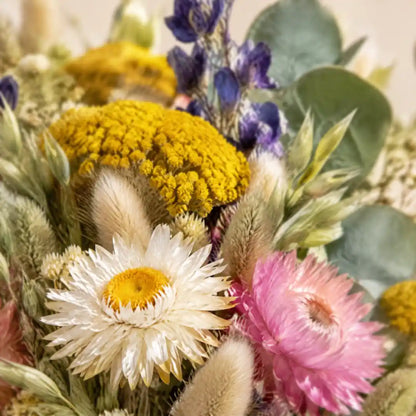 Nahaufnahme getrockneter Strohblumen, Schafgarbe und Samtgras