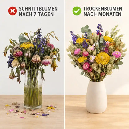 Vergleich: welke Schnittblumen nach 7 Tagen und Trockenblumen nach Monaten