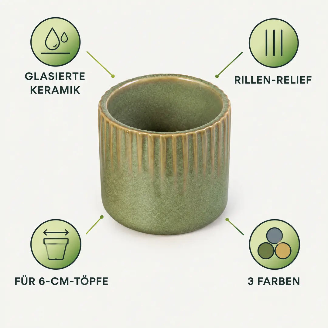 Merkmale: glasierte Keramik, Rillen-Relief, für 6-cm-Töpfe, 3 Farben