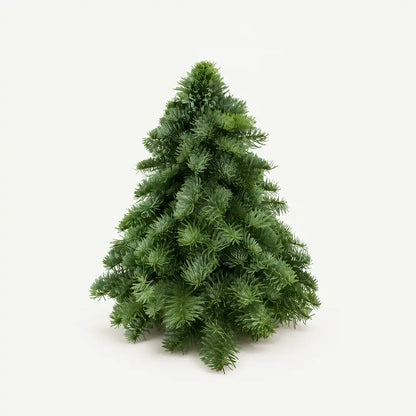 Kleiner Weihnachtsbaum aus Nobilis-Zweigen, ungeschmückt vor hellem Hintergrund