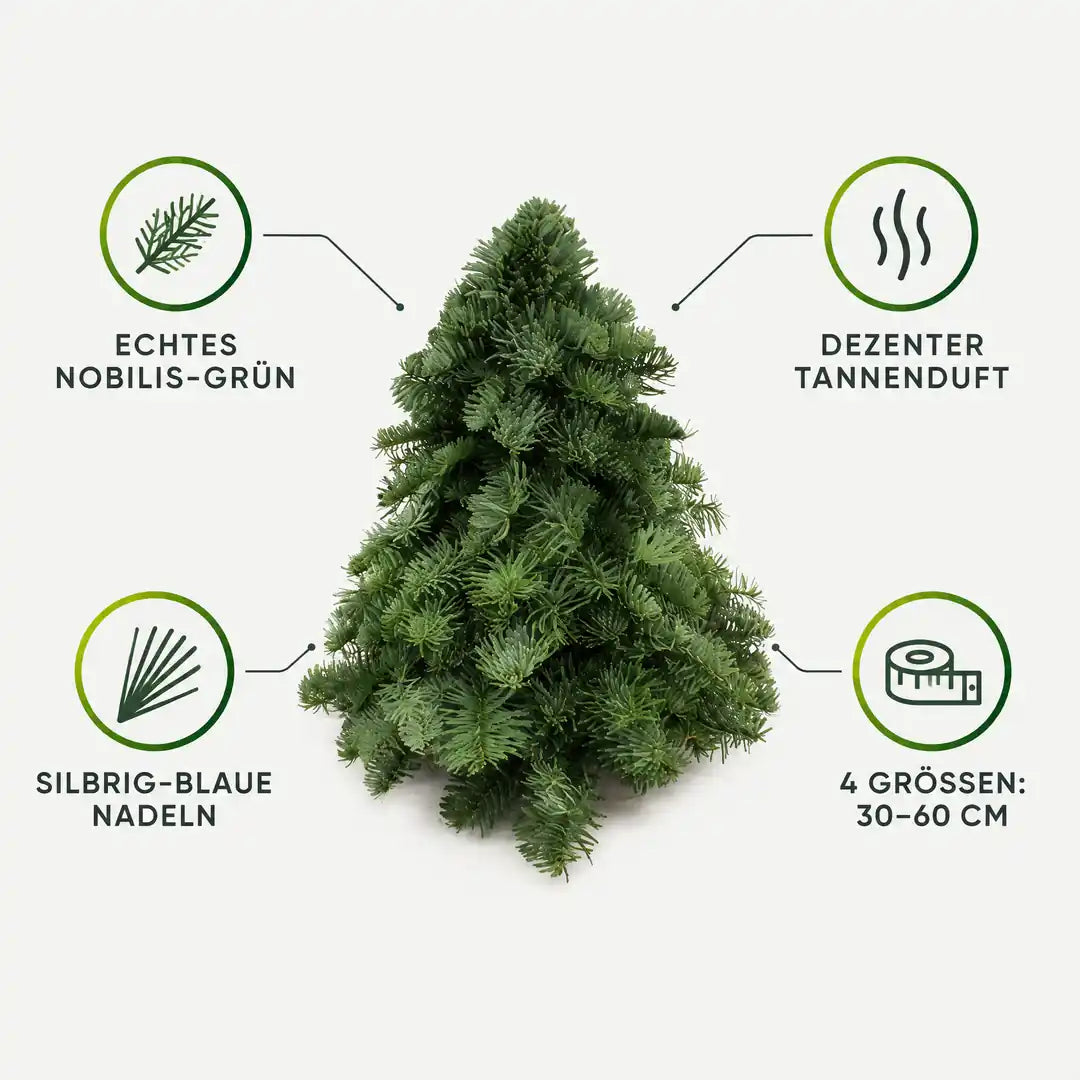 Merkmale des Nobilis-Bäumchens: echtes Nobilis-Grün, dezenter Tannenduft, silbrig-blaue Nadeln, 4 Größen