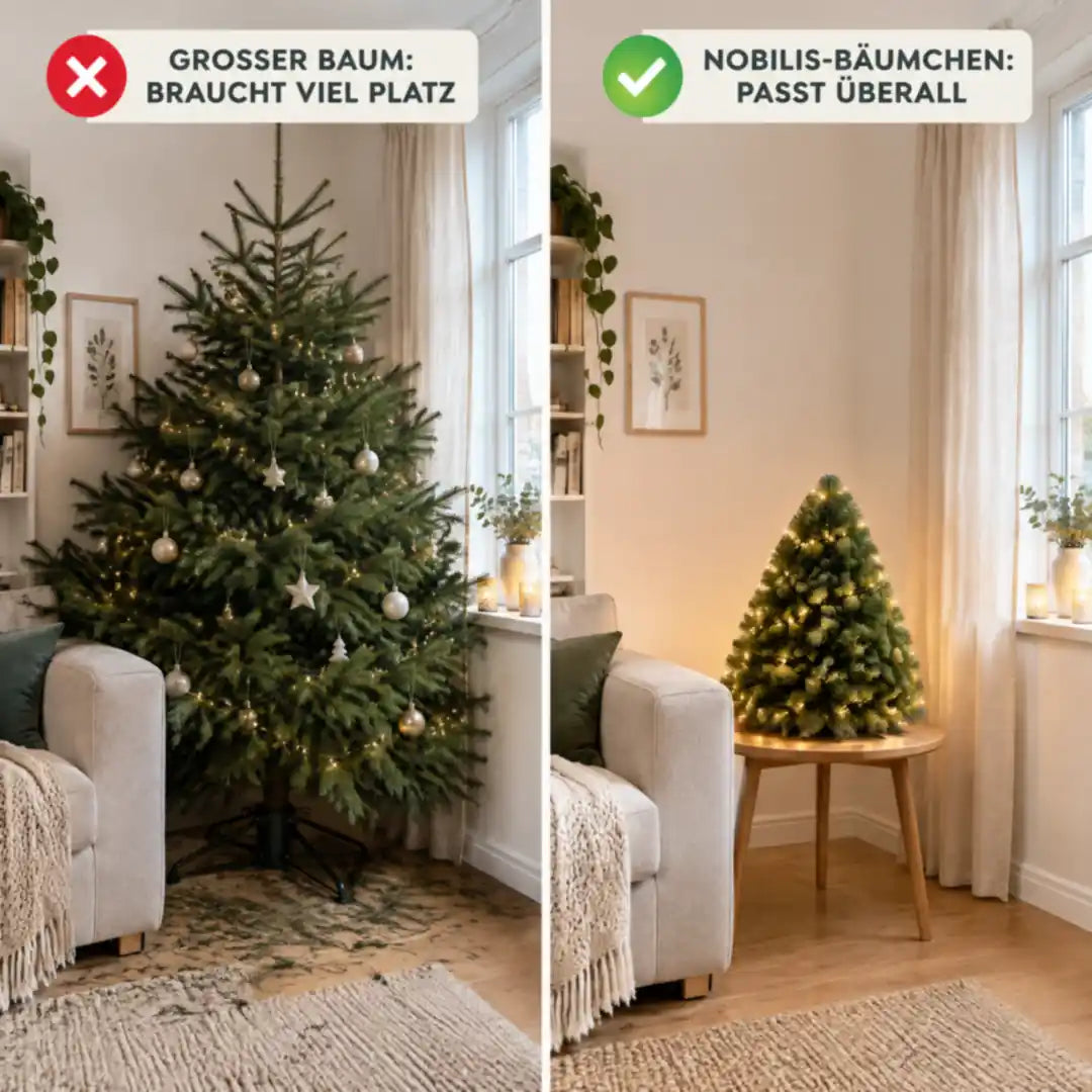 Vergleich: großer Weihnachtsbaum braucht viel Platz, das Nobilis-Bäumchen passt auf den Beistelltisch