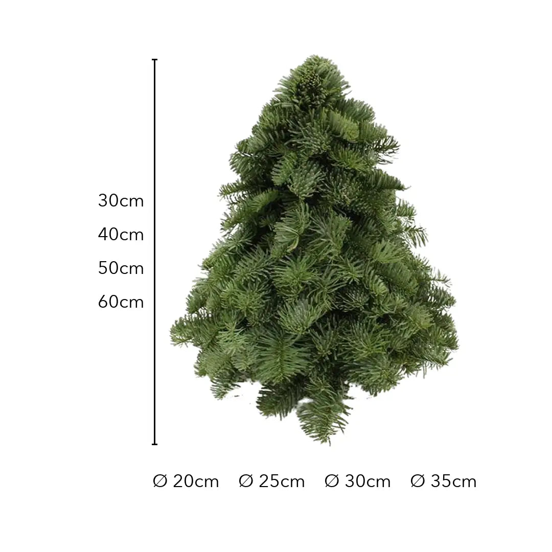Größe Nobilis-Weihnachtsbaum: 30, 40, 50 und 60 cm hoch, Durchmesser 20 bis 35 cm