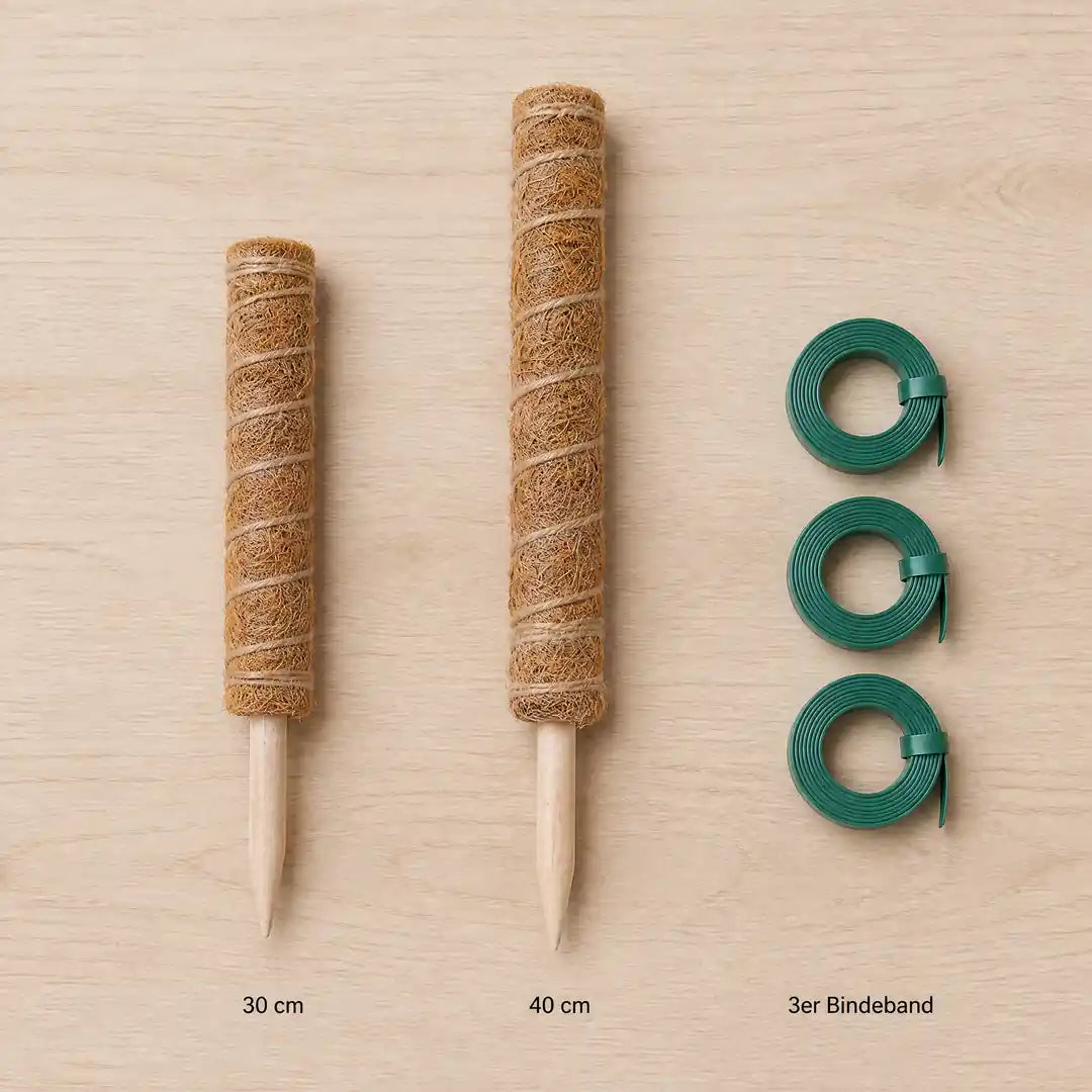 Die drei Ausführungen: Kokosstab 30 cm, Kokosstab 40 cm und drei Rollen Bindeband