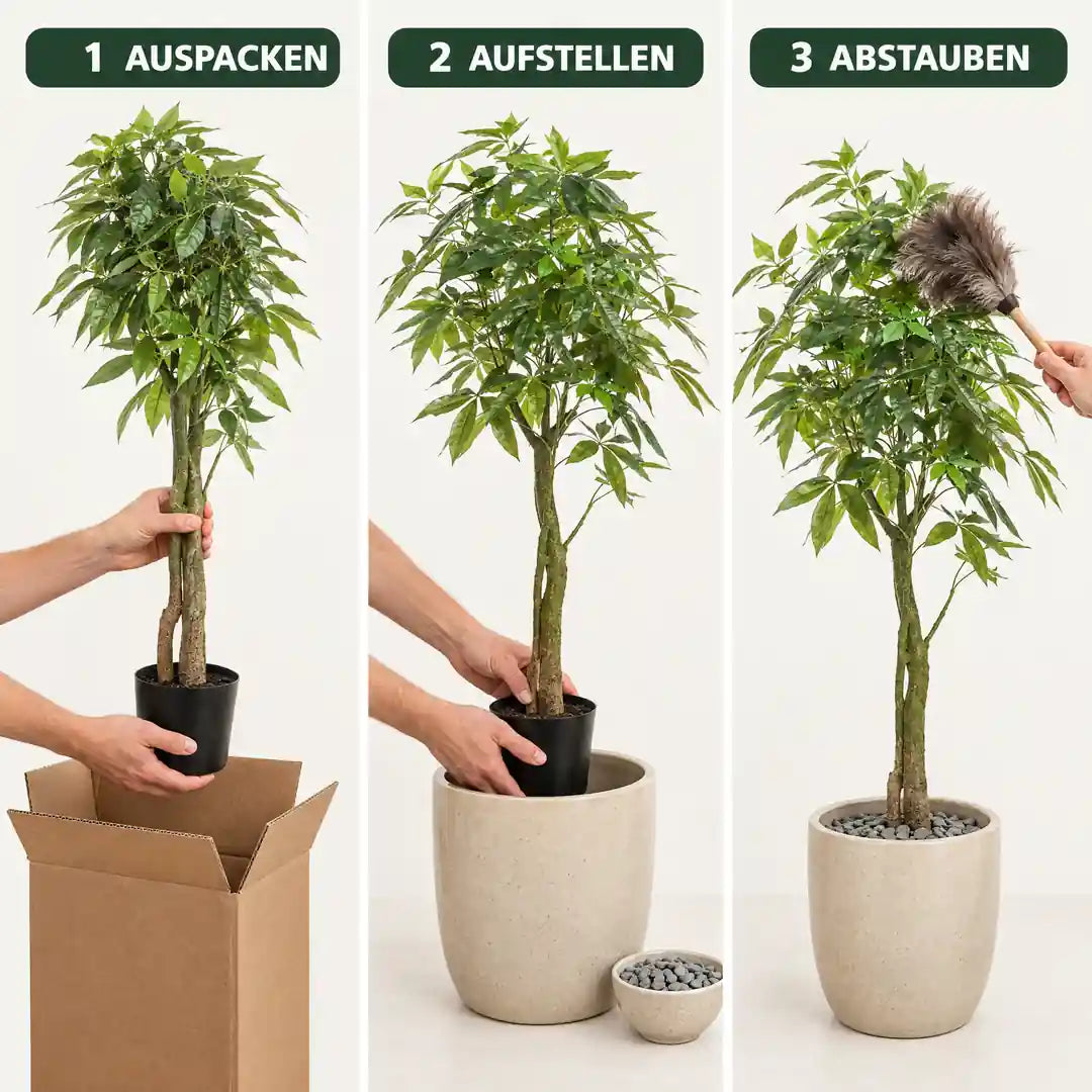 Anwendung in 3 Schritten: Auspacken, Aufstellen, Abstauben