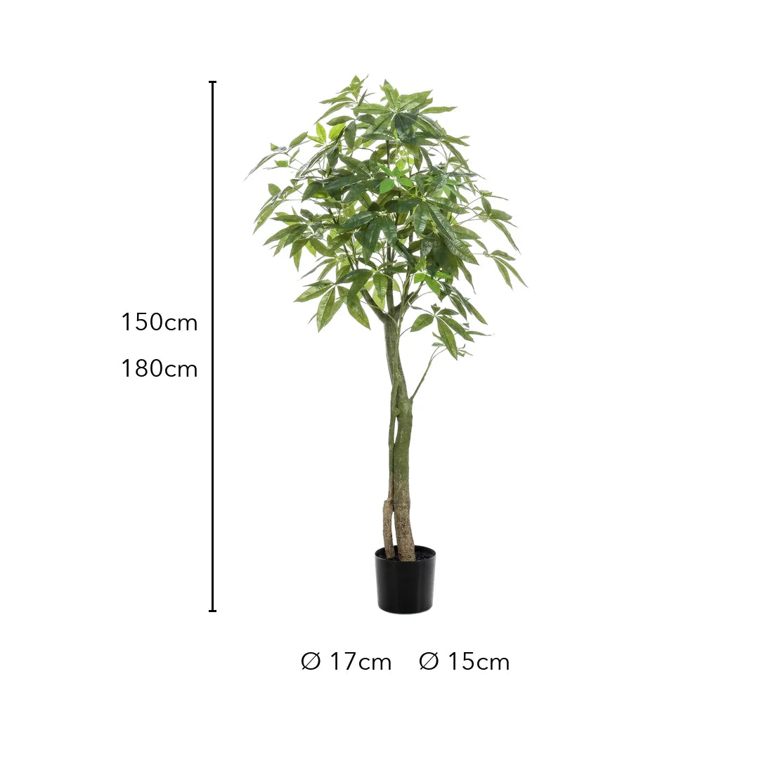 Größe künstliche Glückskastanie: 150 cm oder 180 cm, Topf Ø 17 cm bzw. Ø 15 cm