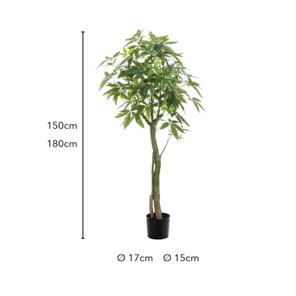 Größe künstliche Glückskastanie: 150 cm oder 180 cm, Topf Ø 17 cm bzw. Ø 15 cm