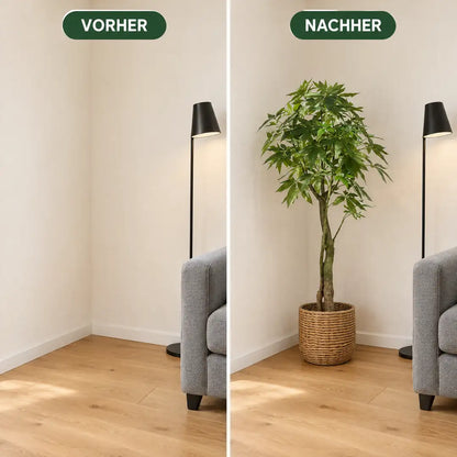 Vorher-Nachher: leere Zimmerecke und Ecke mit künstlicher Glückskastanie