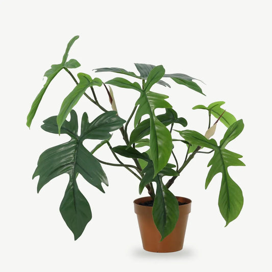 Künstlicher Philodendron Florida, 44 cm, im Terrakotta-Topf freigestellt auf hellem Hintergrund