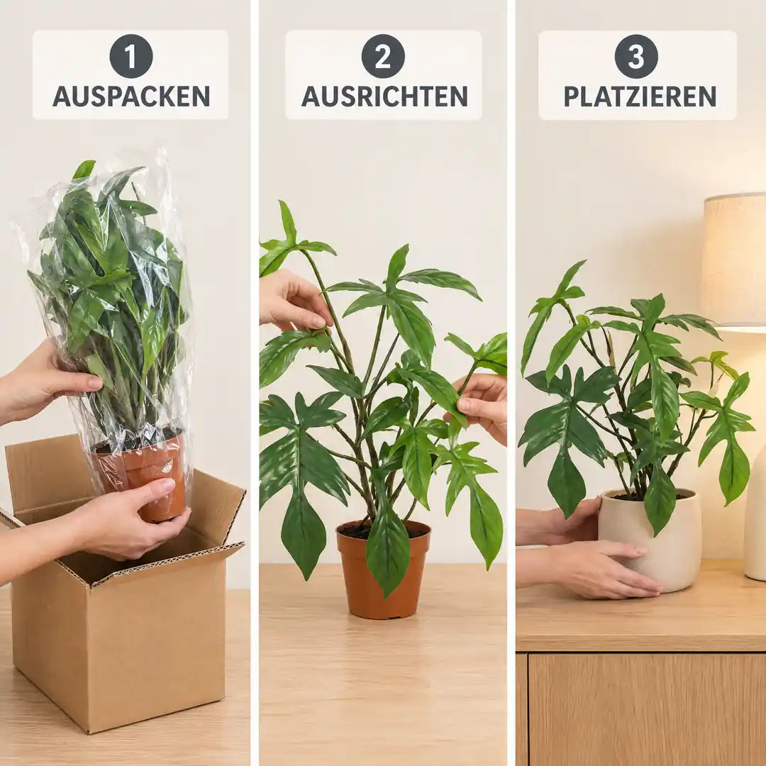 In drei Schritten aufstellen: auspacken, Blätter ausrichten, platzieren