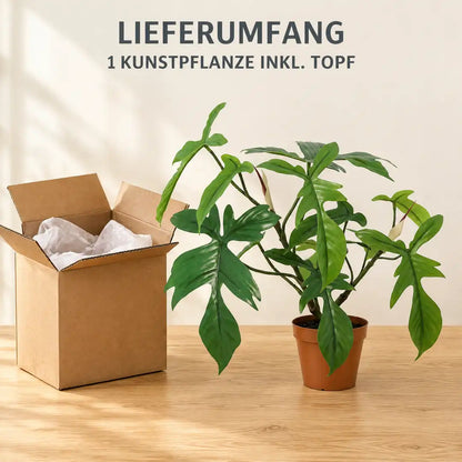 Lieferumfang: 1 künstlicher Philodendron Florida inklusive Topf neben dem Versandkarton