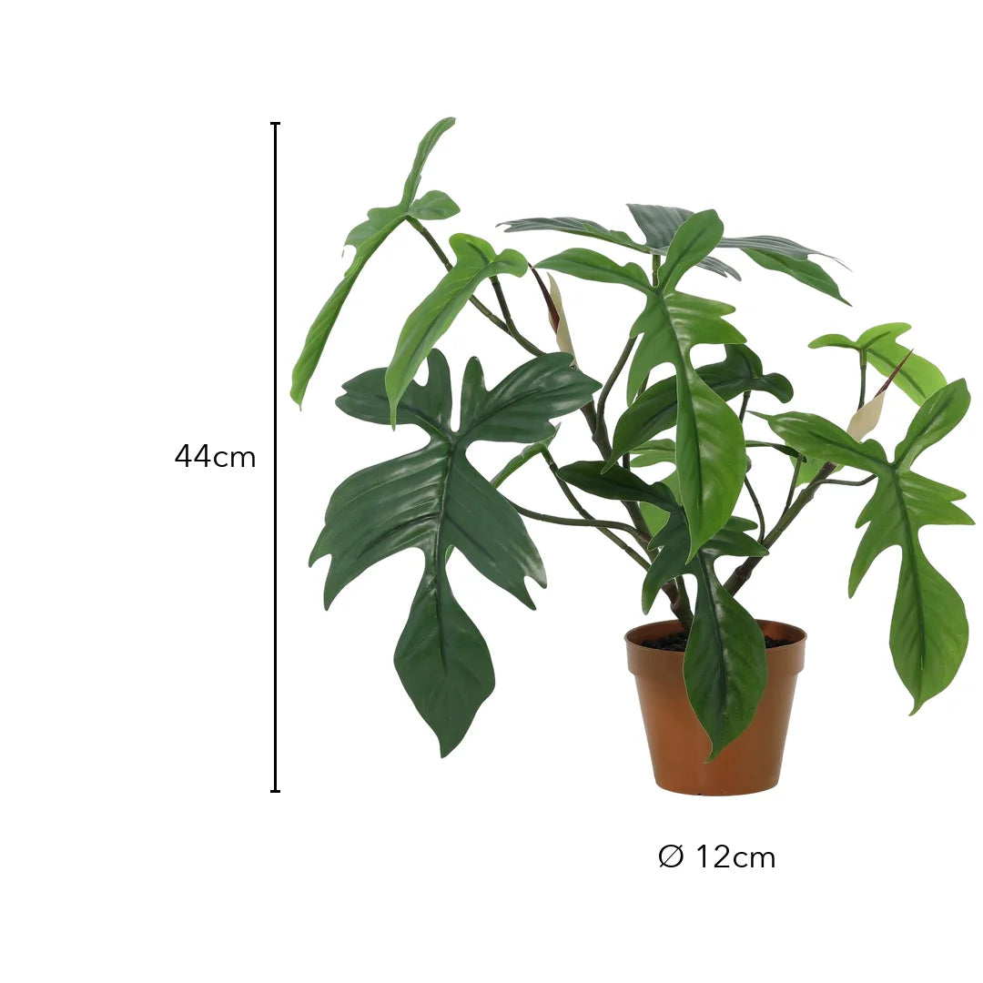 Größe künstlicher Philodendron Florida: 44 cm, Topf Ø 12 cm