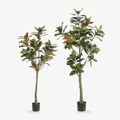 Künstliche Magnolie in 150 und 180 cm nebeneinander im schwarzen Topf