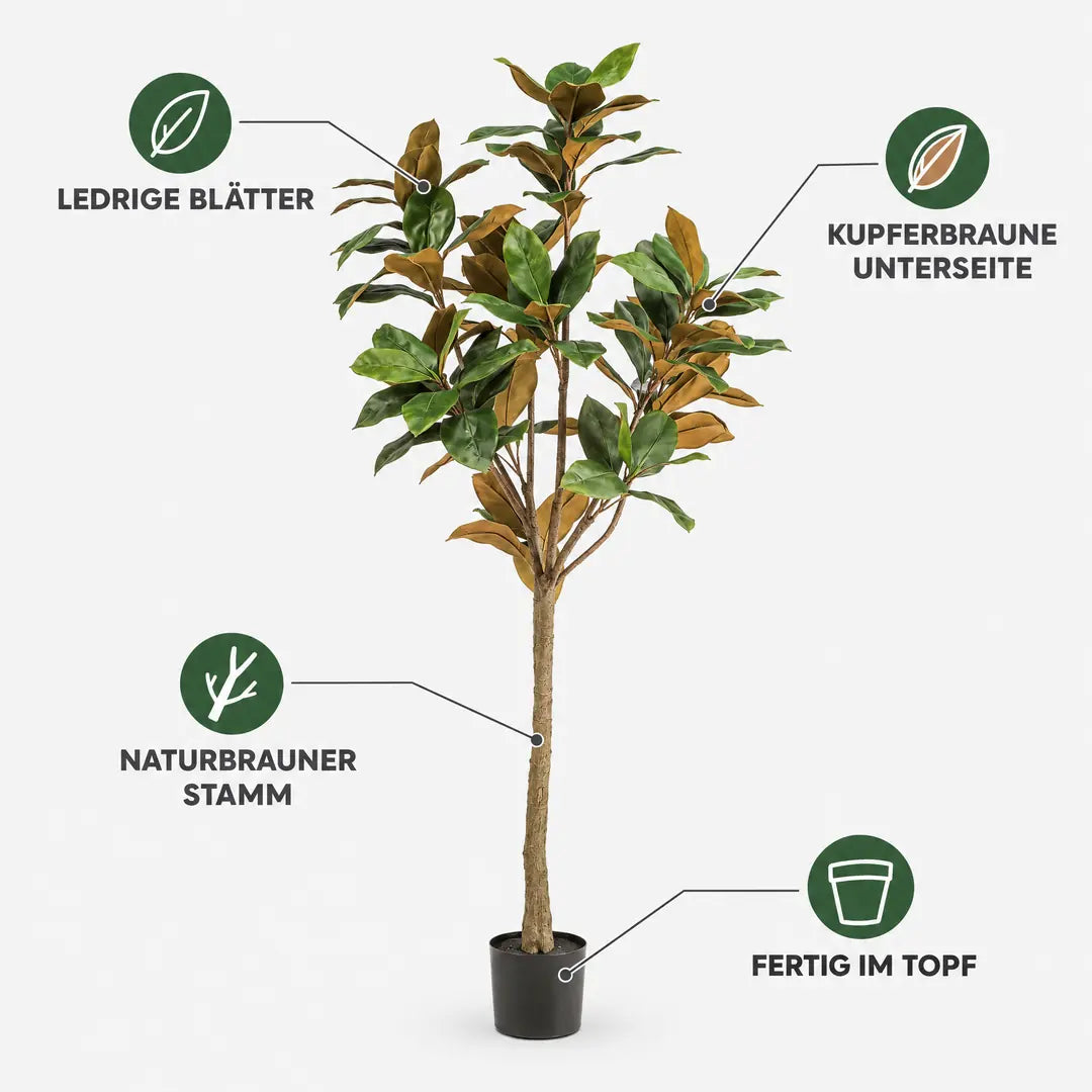 Merkmale der künstlichen Magnolie: ledrige Blätter, kupferbraune Unterseite, naturbrauner Stamm, fertig im Topf