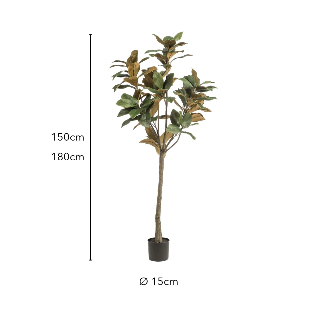 Größe künstliche Magnolie: 150 cm oder 180 cm, Topf Ø 15 cm