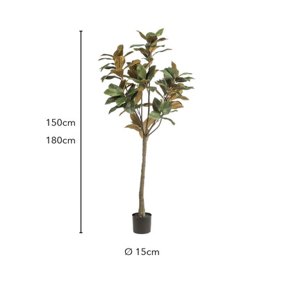 Größe künstliche Magnolie: 150 cm oder 180 cm, Topf Ø 15 cm